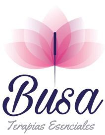 Busa logo